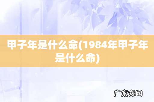 1984年甲子年是什么命 甲子年是什么命