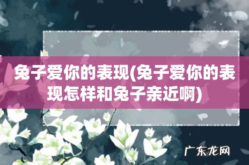 兔子爱你的表现怎样和兔子亲近啊 兔子爱你的表现