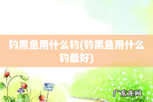 钓黑鱼用什么钓最好 钓黑鱼用什么钓
