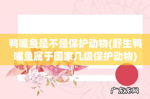 野生鸭嘴鱼属于国家几级保护动物 鸭嘴鱼是不是保护动物