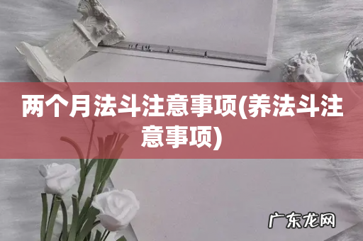 养法斗注意事项 两个月法斗注意事项