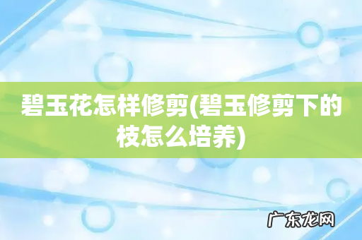 碧玉修剪下的枝怎么培养 碧玉花怎样修剪