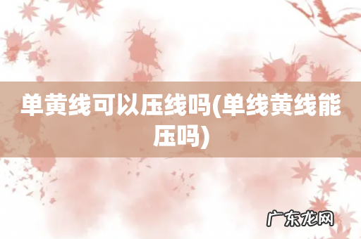 单线黄线能压吗 单黄线可以压线吗