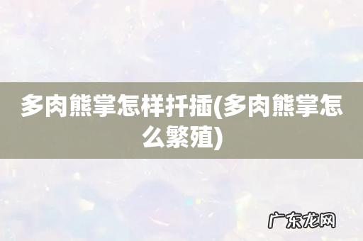 多肉熊掌怎么繁殖 多肉熊掌怎样扦插