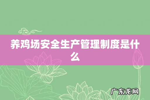 养鸡场安全生产管理制度是什么