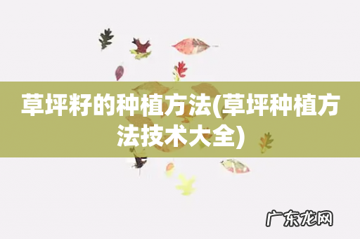 草坪种植方法技术大全 草坪籽的种植方法