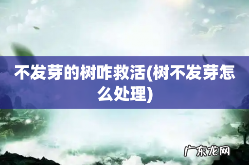 树不发芽怎么处理 不发芽的树咋救活
