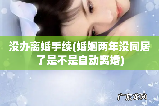 婚姻两年没同居了是不是自动离婚 没办离婚手续