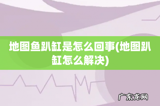 地图趴缸怎么解决 地图鱼趴缸是怎么回事