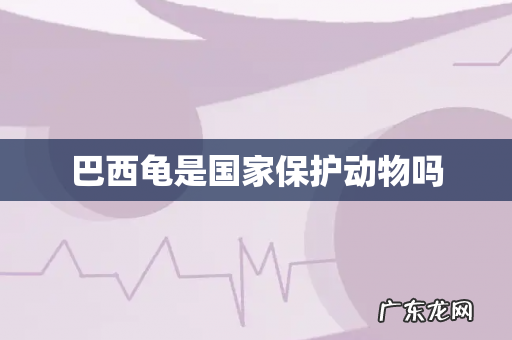 巴西龟是国家保护动物吗