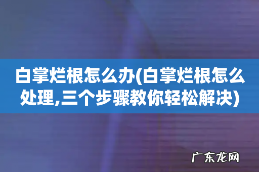 白掌烂根怎么处理,三个步骤教你轻松解决 白掌烂根怎么办