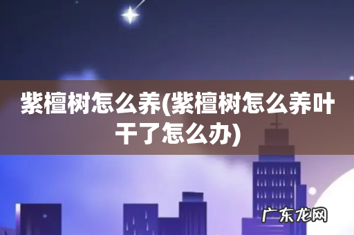 紫檀树怎么养叶干了怎么办 紫檀树怎么养