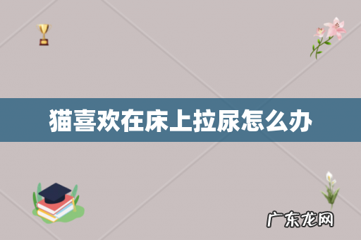 猫喜欢在床上拉尿怎么办