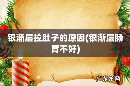 银渐层肠胃不好 银渐层拉肚子的原因