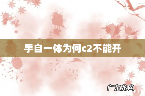 手自一体为何c2不能开
