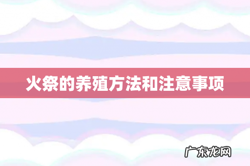 火祭的养殖方法和注意事项