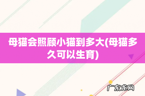 母猫多久可以生育 母猫会照顾小猫到多大