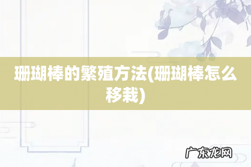 珊瑚棒怎么移栽 珊瑚棒的繁殖方法