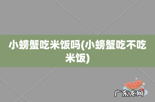 小螃蟹吃不吃米饭 小螃蟹吃米饭吗