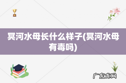 冥河水母有毒吗 冥河水母长什么样子