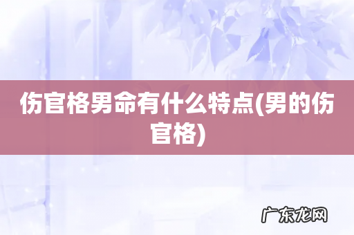 男的伤官格 伤官格男命有什么特点