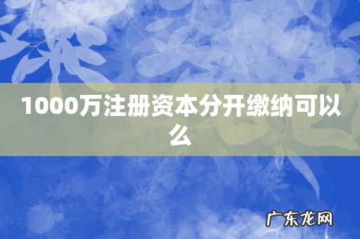 1000万注册资本分开缴纳可以么