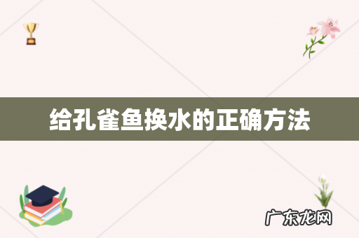 给孔雀鱼换水的正确方法