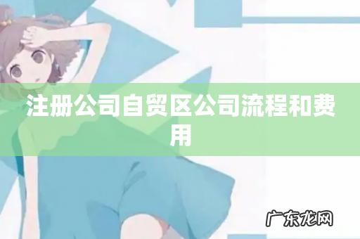 注册公司自贸区公司流程和费用