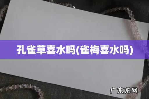 雀梅喜水吗 孔雀草喜水吗