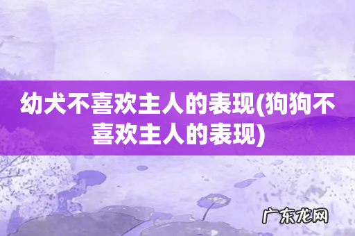 狗狗不喜欢主人的表现 幼犬不喜欢主人的表现