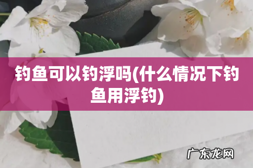 什么情况下钓鱼用浮钓 钓鱼可以钓浮吗