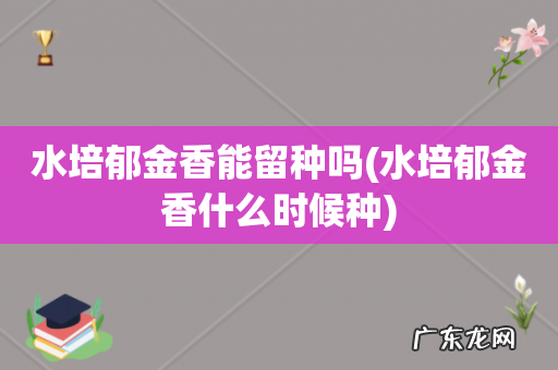 水培郁金香什么时候种 水培郁金香能留种吗