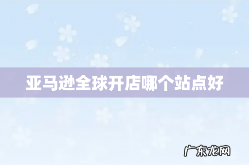 亚马逊全球开店哪个站点好