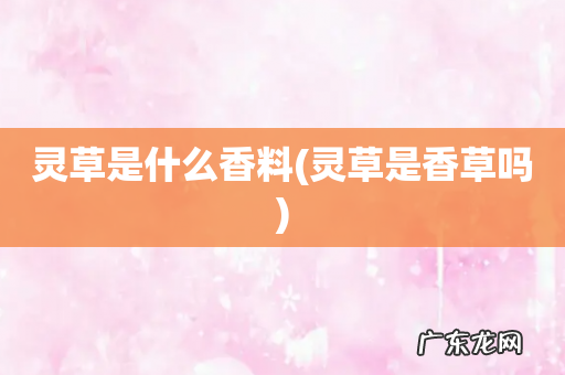 灵草是香草吗 灵草是什么香料