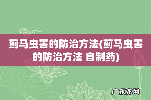 蓟马虫害的防治方法 自制药 蓟马虫害的防治方法