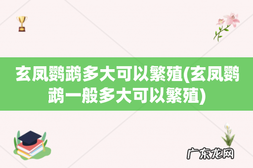 玄凤鹦鹉一般多大可以繁殖 玄凤鹦鹉多大可以繁殖