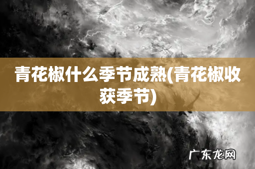 青花椒收获季节 青花椒什么季节成熟