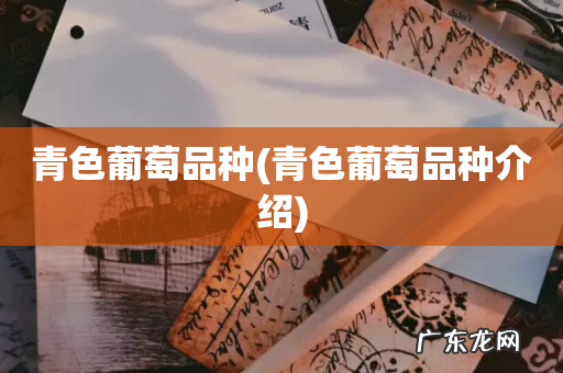 青色葡萄品种介绍 青色葡萄品种
