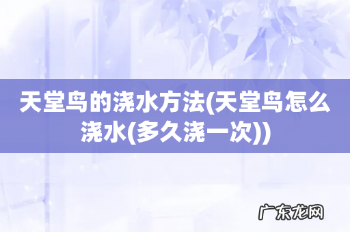 天堂鸟怎么浇水(多久浇一次 天堂鸟的浇水方法)