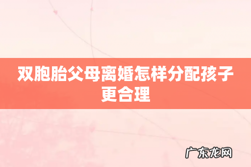 双胞胎父母离婚怎样分配孩子更合理