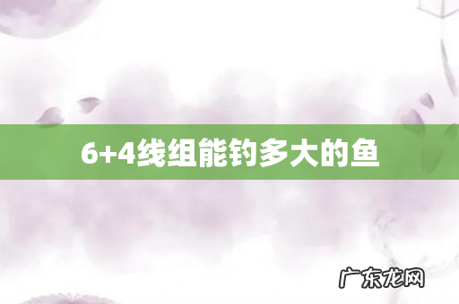 6+4线组能钓多大的鱼