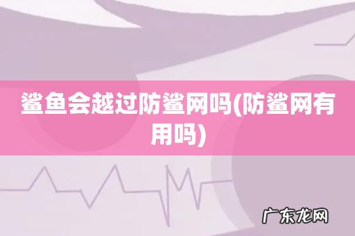 防鲨网有用吗 鲨鱼会越过防鲨网吗