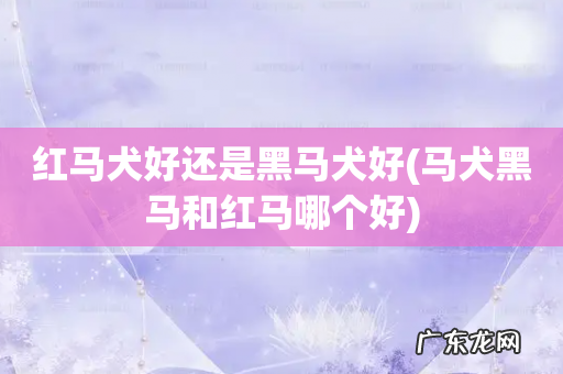 马犬黑马和红马哪个好 红马犬好还是黑马犬好