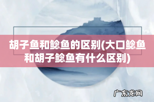 大口鲶鱼和胡子鲶鱼有什么区别 胡子鱼和鲶鱼的区别