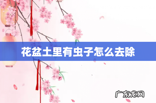 花盆土里有虫子怎么去除
