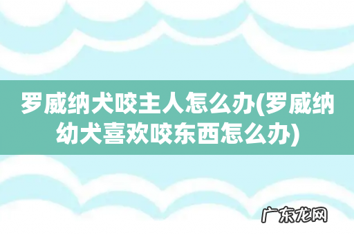 罗威纳幼犬喜欢咬东西怎么办 罗威纳犬咬主人怎么办