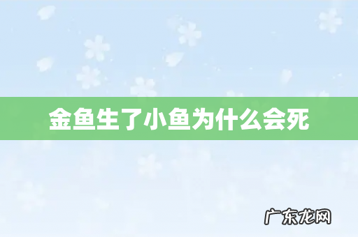 金鱼生了小鱼为什么会死