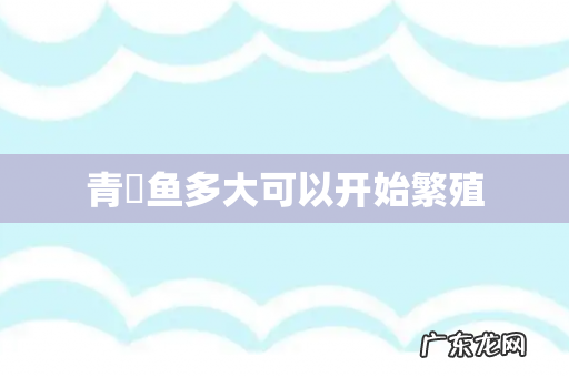 青鳉鱼多大可以开始繁殖