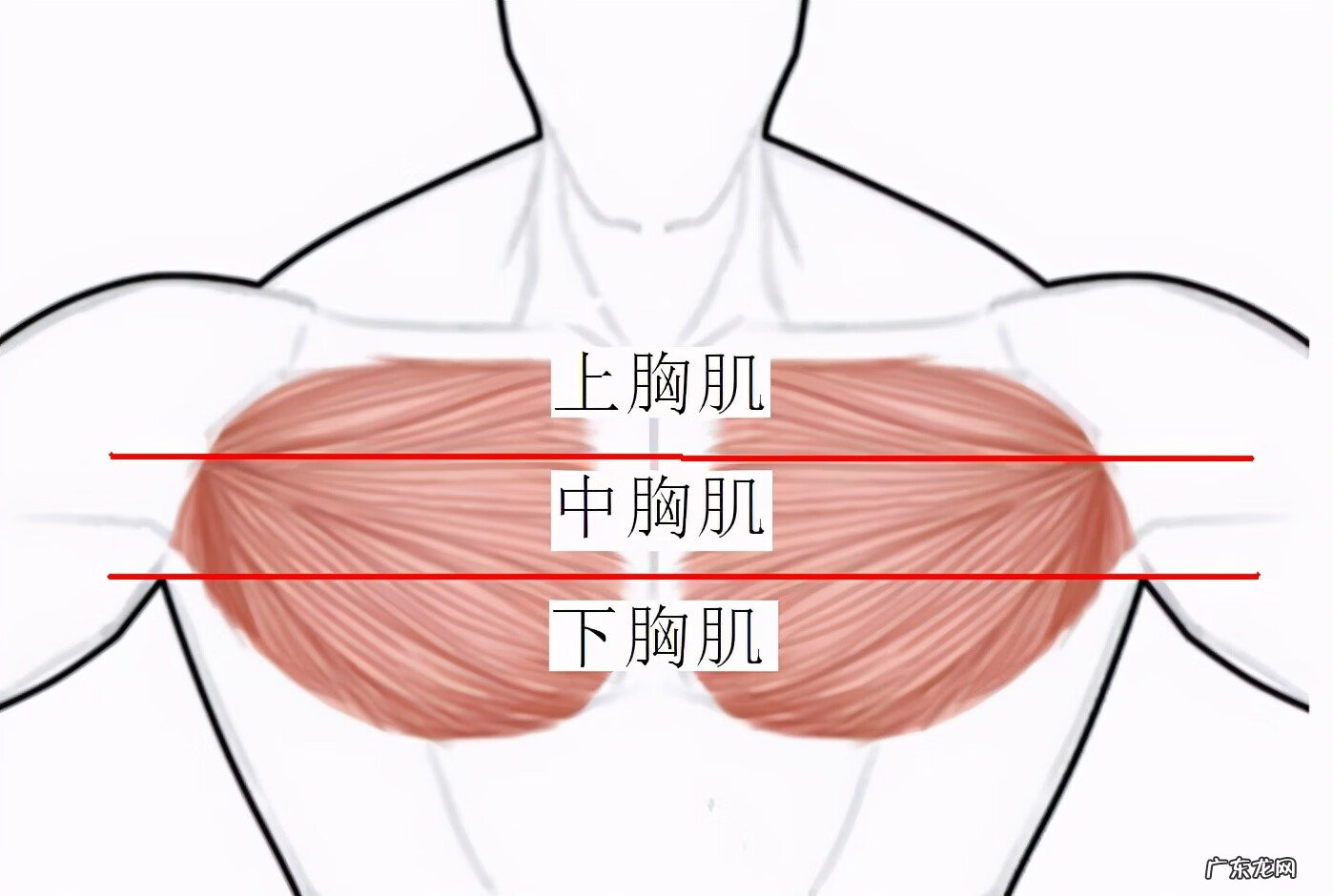 龙门架造型图片 龙门架图片大全