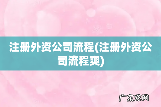 注册外资公司流程爽 注册外资公司流程